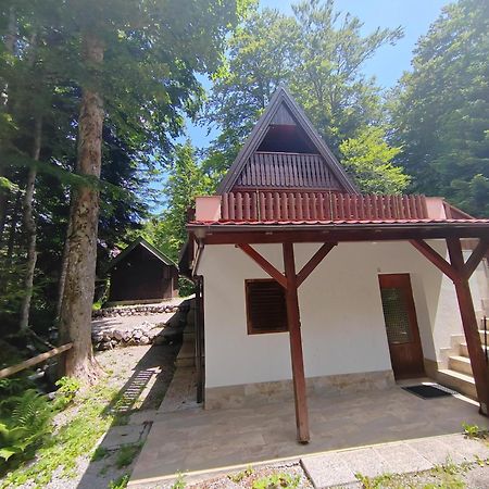 Villa Koca Planika, Sviscaki à Ilirska Bistrica Extérieur photo