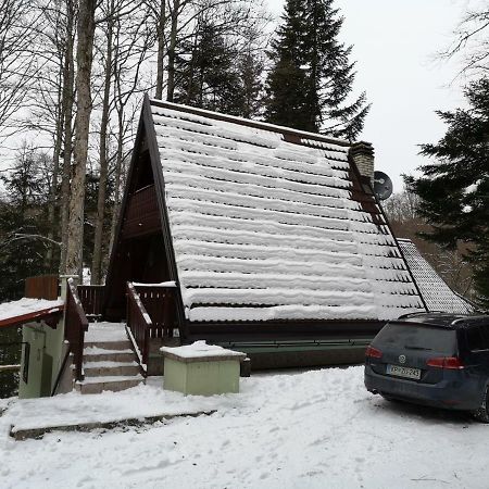 Villa Koca Planika, Sviscaki à Ilirska Bistrica Extérieur photo